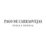 Pago de Carraovejas
