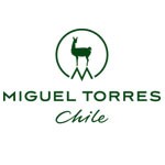 Miguel Torres Chile